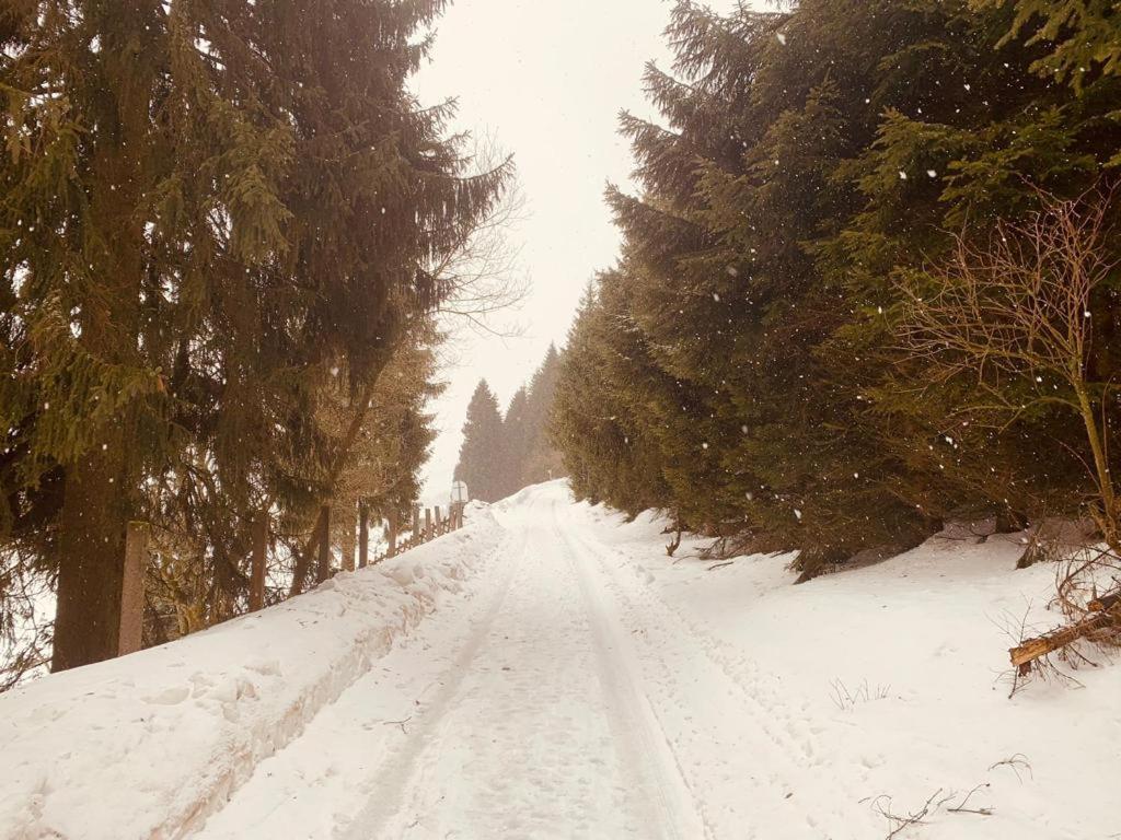 Fewo Bergblick - Oberwiesenthal Exterior foto