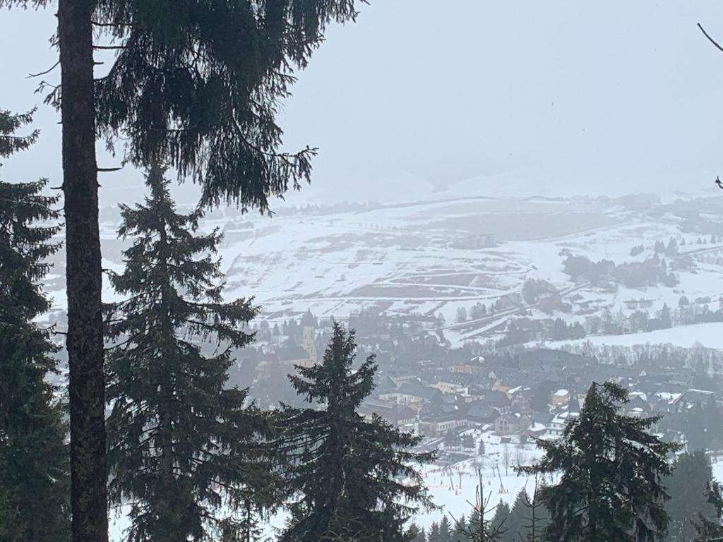 Fewo Bergblick - Oberwiesenthal Exterior foto